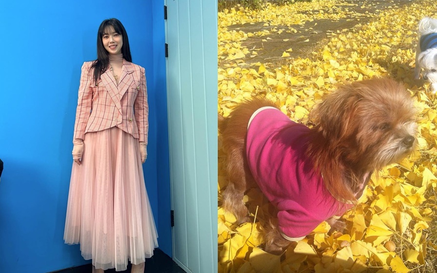 ▲ 배다해(왼쪽), 반려견 빠삐. 출처| 배다해 인스타그램