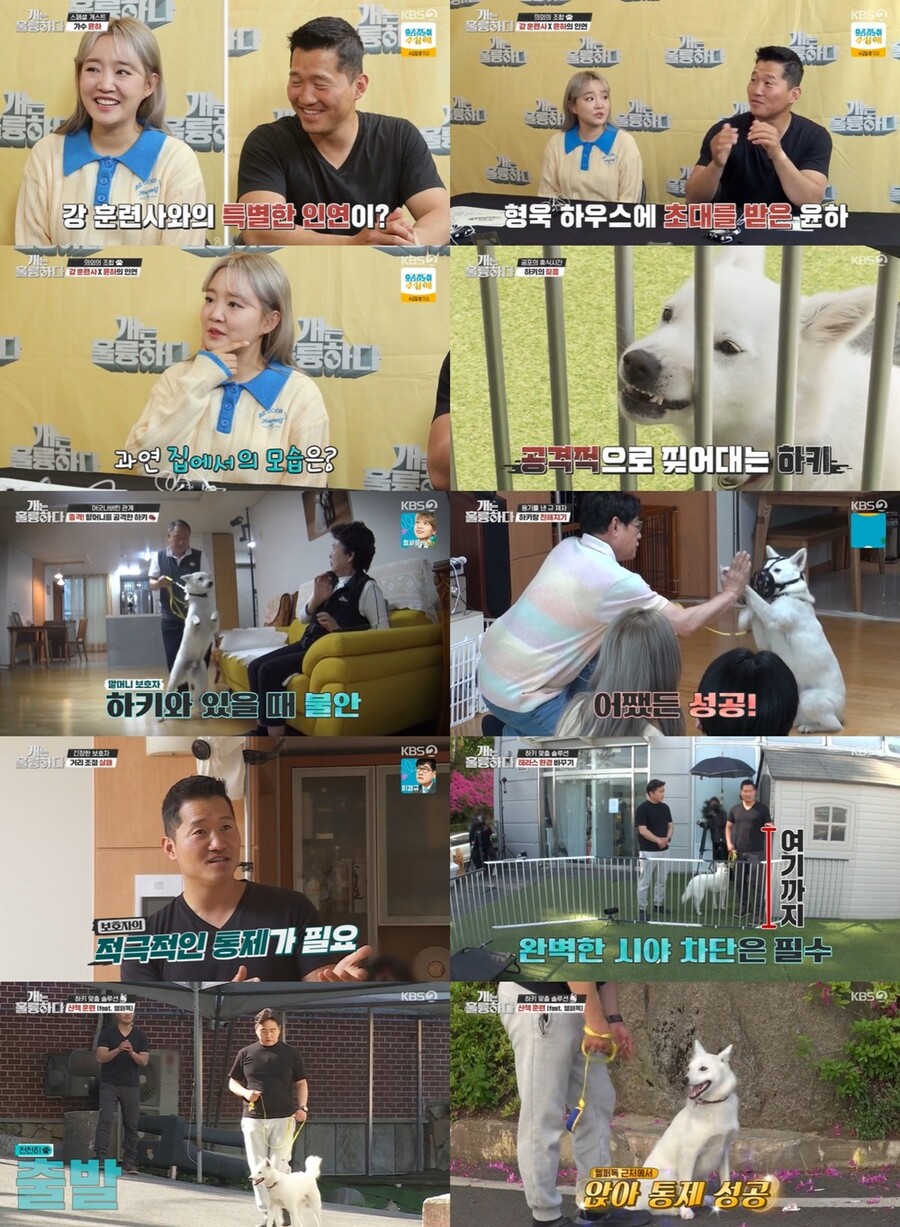 ▲ KBS2 예능 '개훌륭' 방송 화면. 제공| KBS