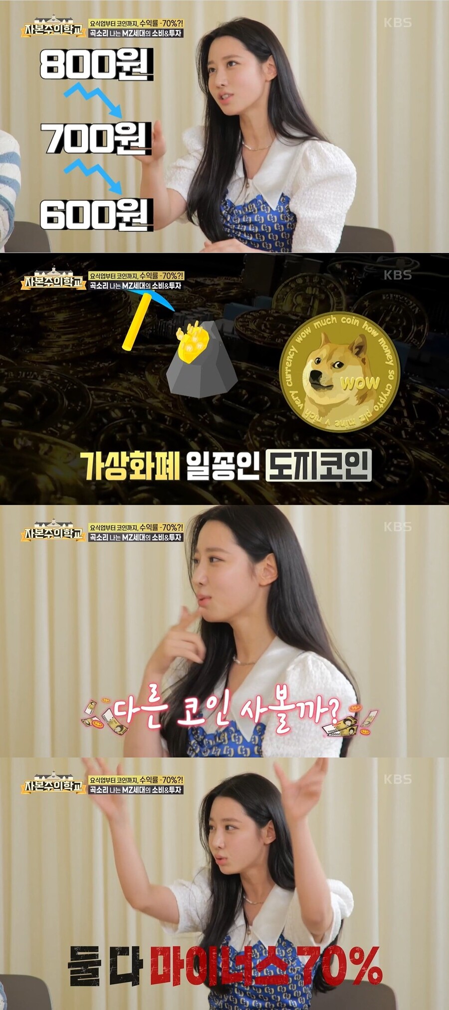 시바견에 물렸다