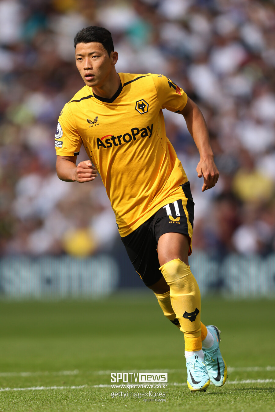 황희찬 페널티킥 실패 상단 이미지