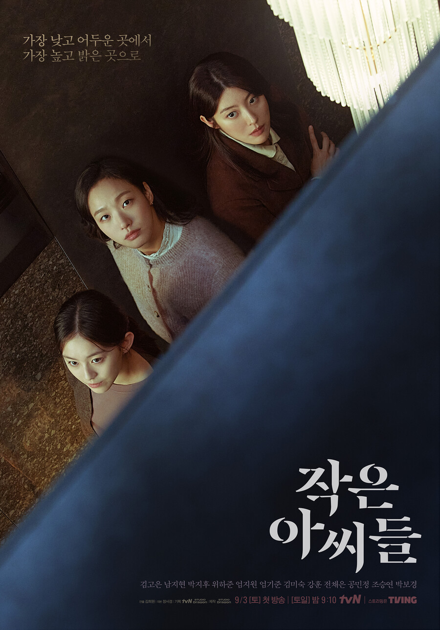 ▲ '작은 아씨들' 포스터. 제공|tvN