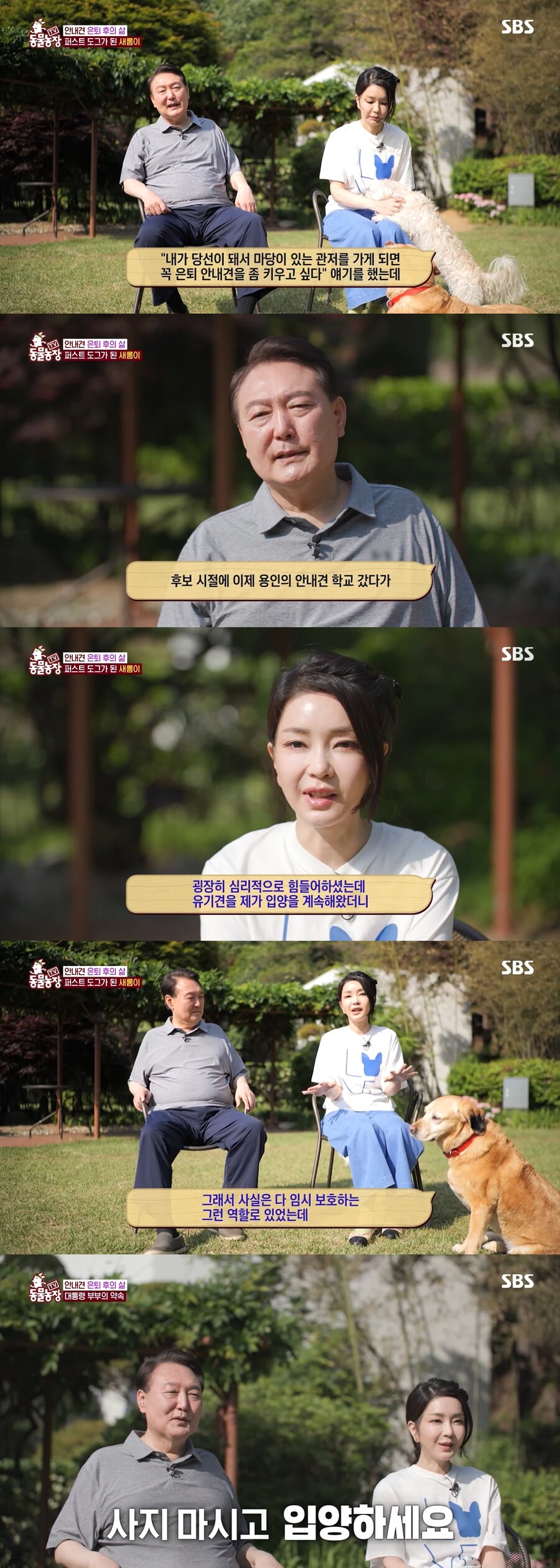 ▲ 출처|SBS 'TV동물농장' 방송화면 캡처