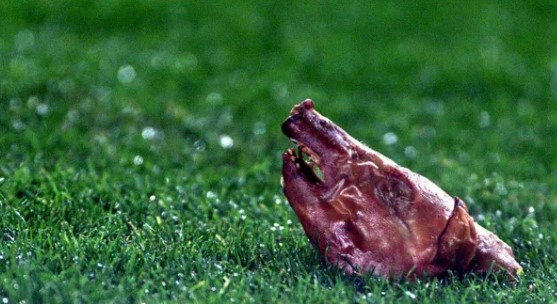 ▲ 레알 마드리드 이적 후 돼지머리를 포함해 엄청난 야유를 받았던 피구