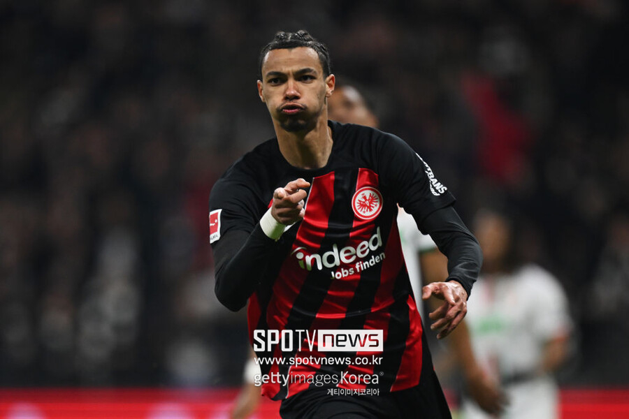 ▲ 위고 에키티케