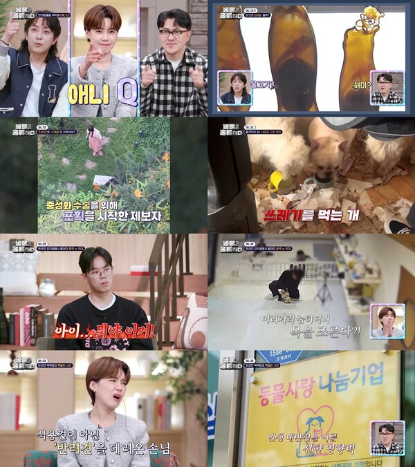 ▲ 23일 방송된 KBS2 '동물은 훌륭하다' 장면들. 방송화면 캡처