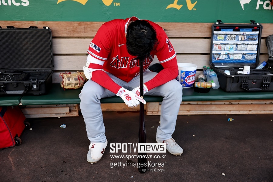 ▲ 에인절스에서 오타니는 한 번도 플레이오프 무대를 밟지 못했다.