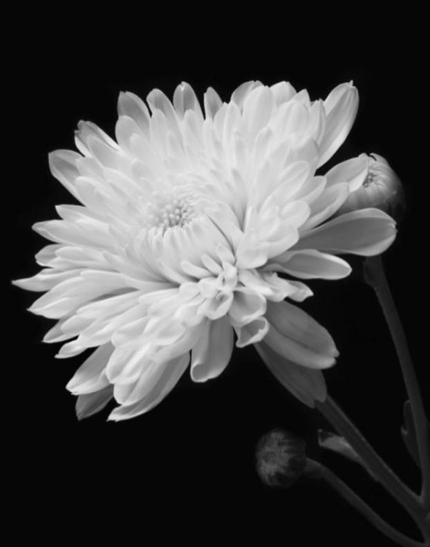 ▲ 사진 | 김옥빈 개인 계정