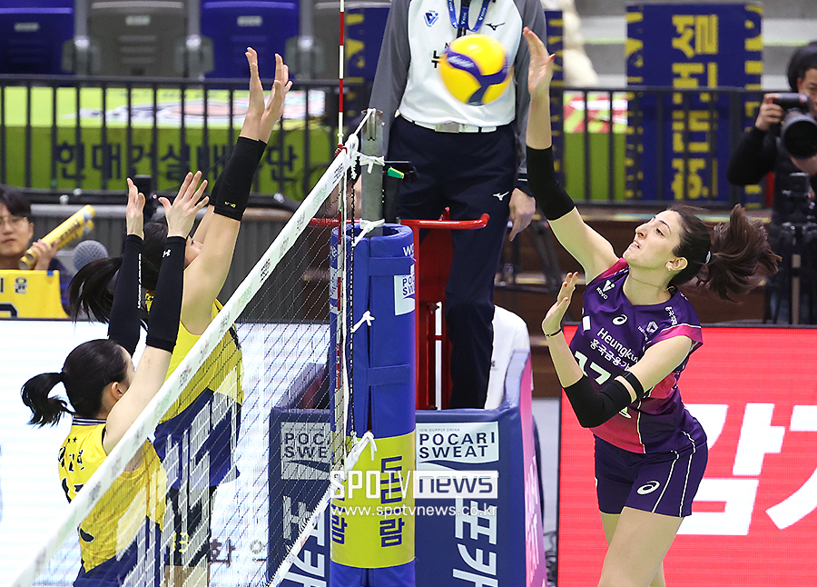 ▲ 투트쿠 ⓒ곽혜미 기자