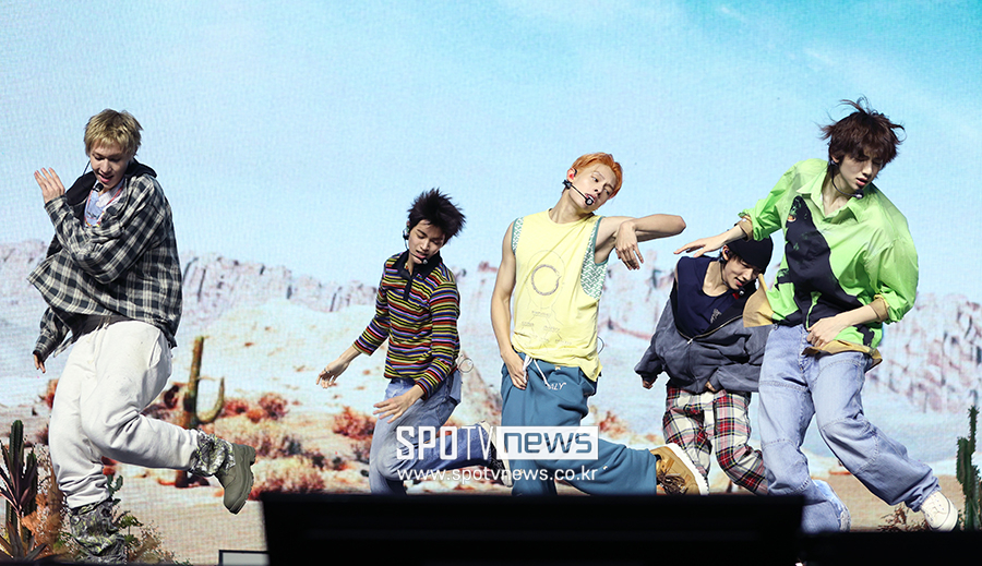 ▲ 코르티스 ⓒ곽혜미 기자