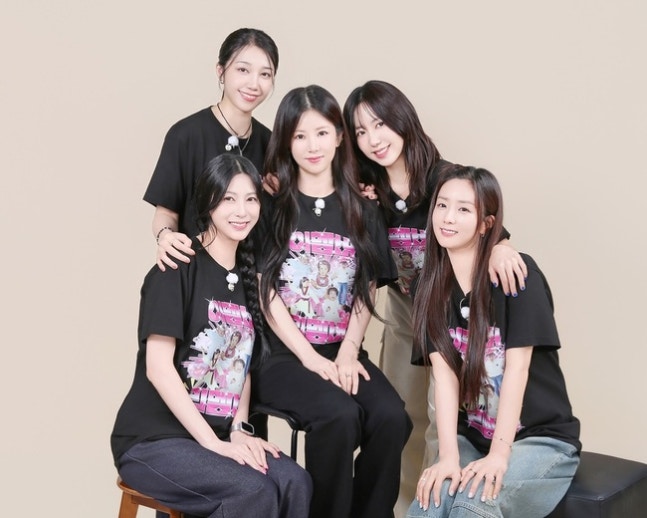 ▲ 출처| 에이핑크 SNS