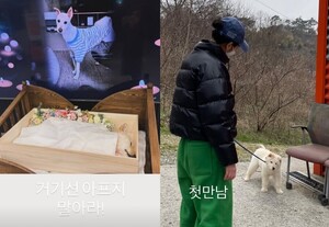 김고은, 반려견 월이 떠나보냈다… 거기선 아프지 마